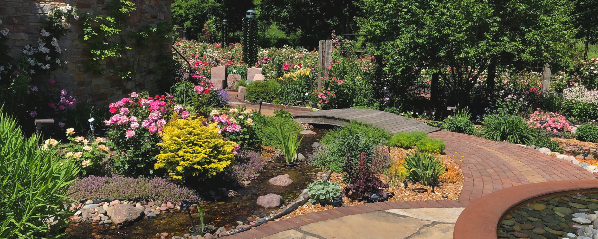 Open Garden Events — Rose Innovations
